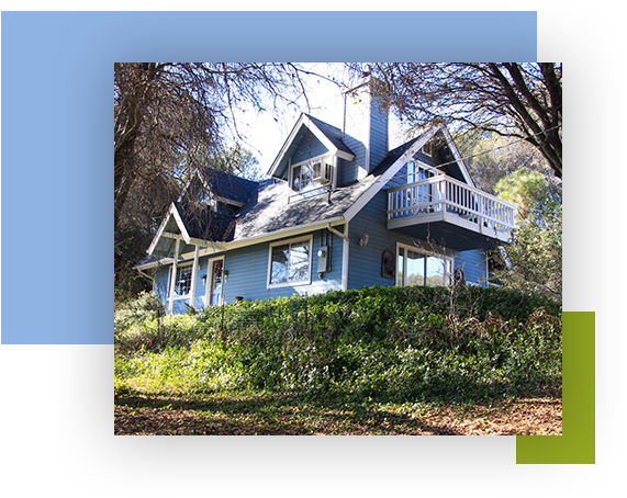 The Golden Delicious Suite/Yosemite,CA/Apple Blossom